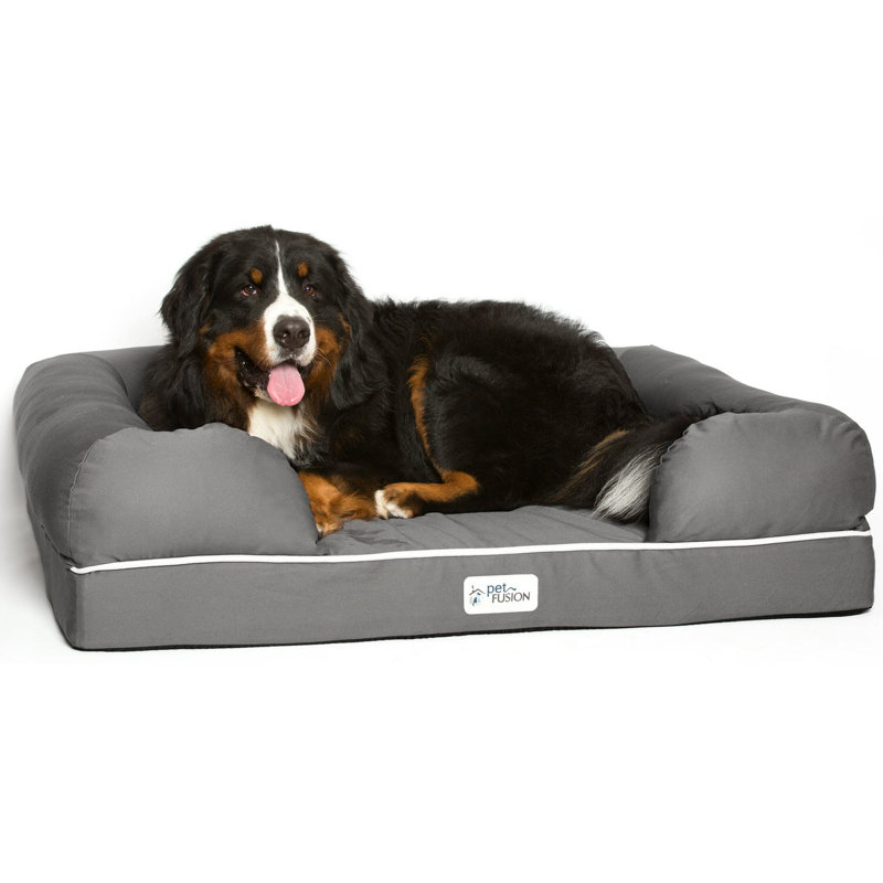 PetFusion Ultimate Dog Bed with Memory Foam Brown X Large